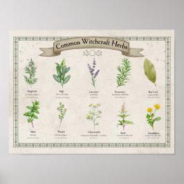 Persoonlijke Vintage Botanische Kruidenkaart Poster
