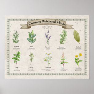 Persoonlijke Vintage Botanische Kruidenkaart Poster