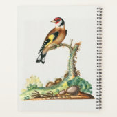 Persoonlijke vintage botanische vogel academisch planner (Achterkant)