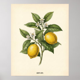 Persoonlijke Vintage Citroen Botanische Boerderij Poster