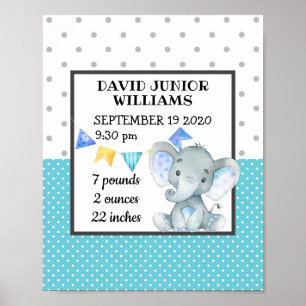 Persoonlijke vogelsteen Milestone Baby Boy Poster