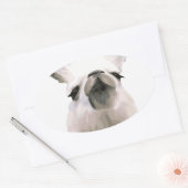 Persoonlijke waarneming van Tsjernobby Llama Ovale Sticker (Envelop)