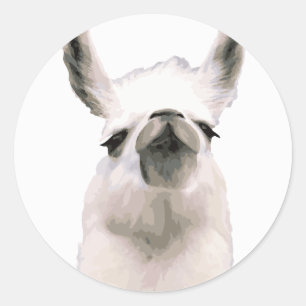 Persoonlijke waarneming van Tsjernobby Llama Ronde Sticker