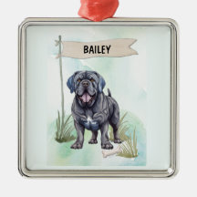 Persoonlijke waterverf Neapolitaanse Mastiff hond