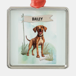 Persoonlijke waterverf Plott-hond Metalen Ornament