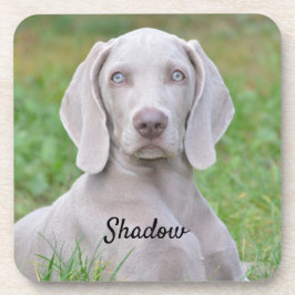 Persoonlijke weimaraner Puppy Dog Bier Onderzetter