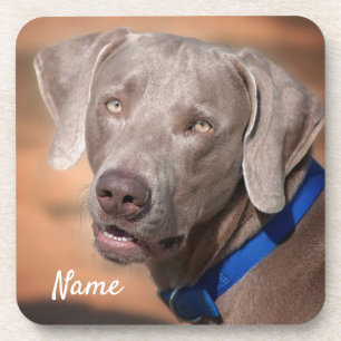 Persoonlijke weimaraner Puppy Dog Bier Onderzetter