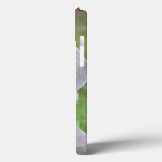 Persoonlijke weimaraner Puppy Dog Case-Mate iPhone Case (Achterkant / Links)