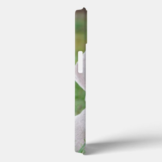 Persoonlijke weimaraner Puppy Dog Case-Mate iPhone Case (Achterkant / Rechts)