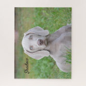 Persoonlijke weimaraner Puppy Dog Legpuzzel (Verticaal)