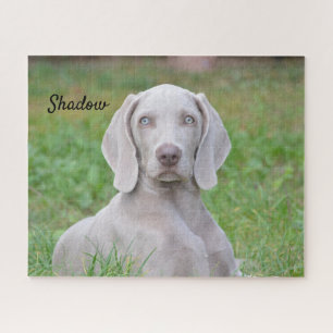 Persoonlijke weimaraner Puppy Dog Legpuzzel