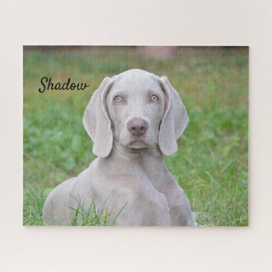 Persoonlijke weimaraner Puppy Dog Legpuzzel (Horizontaal)