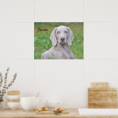 Persoonlijke weimaraner Puppy Dog Poster (Keuken)