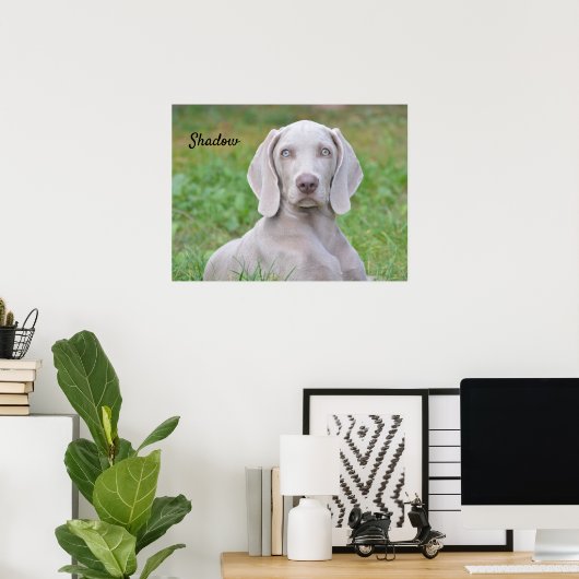 Persoonlijke weimaraner Puppy Dog Poster (Thuiskantoor)