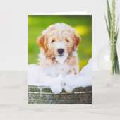 Persoonlijke wenskaarten met foto van uw huisdier kaart (Voorkant)