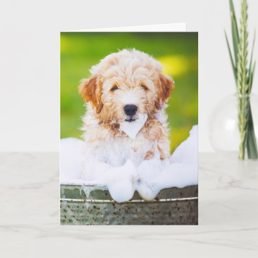 Persoonlijke wenskaarten met foto van uw huisdier kaart (Voorkant)