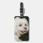 Persoonlijke witte Maltese puppy Dog Bagagelabel (Voorkant verticaal)