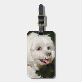 Persoonlijke witte Maltese puppy Dog Bagagelabel