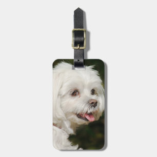 Persoonlijke witte Maltese puppy Dog Bagagelabel