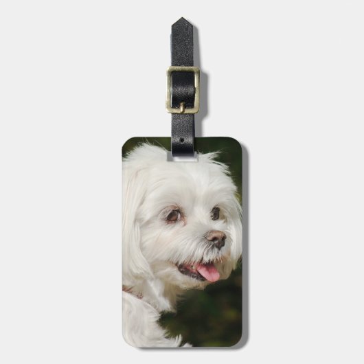 Persoonlijke witte Maltese puppy Dog Bagagelabel (Voorkant verticaal)