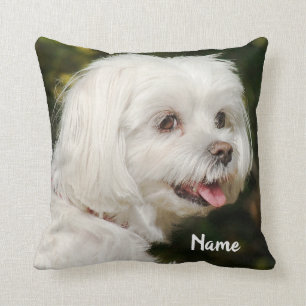Persoonlijke witte Maltese puppy Dog Kussen