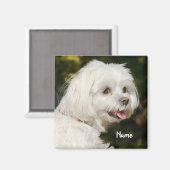 Persoonlijke witte Maltese puppy Dog Magneet (Voorkant / Achterkant)