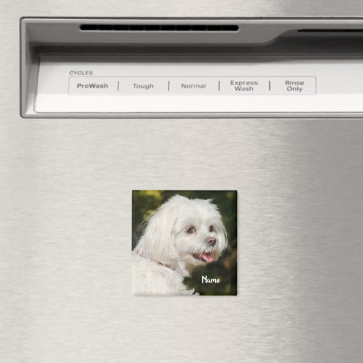 Persoonlijke witte Maltese puppy Dog Magneet (Insitu (Vaatwasser))