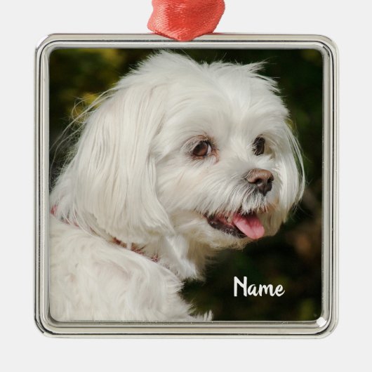 Persoonlijke witte Maltese puppy Dog Metalen Ornament (Voorkant)