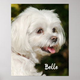 Persoonlijke witte Maltese puppy Dog Poster
