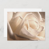 Persoonlijke witte roze bespaart de data aankondigingskaart (Voorkant / Achterkant)