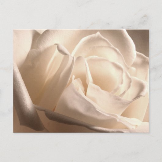 Persoonlijke witte roze bespaart de data aankondigingskaart (Voorkant)