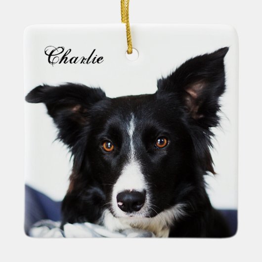 Persoonlijke zwarte en witte rand collie keramisch ornament (Voorkant)