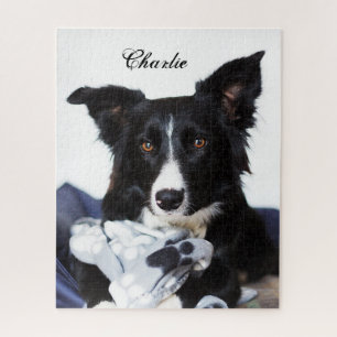 Persoonlijke zwarte en witte rand collie legpuzzel
