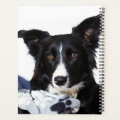 Persoonlijke zwarte en witte rand collie planner (Achterkant)