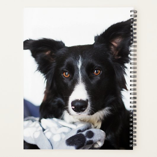 Persoonlijke zwarte en witte rand collie planner (Achterkant)
