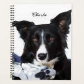 Persoonlijke zwarte en witte rand collie planner (Voorkant)