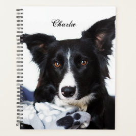 Persoonlijke zwarte en witte rand collie planner