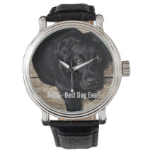 Persoonlijke zwarte-labfoto en naam van de hond