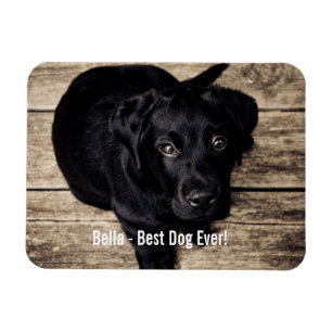 Persoonlijke zwarte-labfoto en naam van de hond magneet
