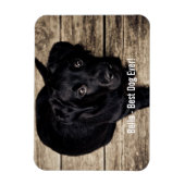 Persoonlijke zwarte-labfoto en naam van de hond magneet (Verticaal)