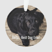 Persoonlijke zwarte-labfoto en naam van de hond ornament (voorkant)