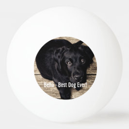 Persoonlijke zwarte-labfoto en naam van de hond pingpongbal