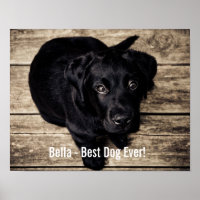 Persoonlijke zwarte-labfoto en naam van de hond