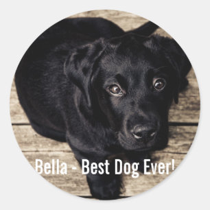 Persoonlijke zwarte-labfoto en naam van de hond ronde sticker