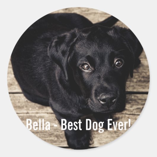 Persoonlijke zwarte-labfoto en naam van de hond ronde sticker (Voorkant)