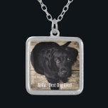 Persoonlijke zwarte-labfoto en naam van de hond zilver vergulden ketting<br><div class="desc">Pas deze keepname aan met de foto en naam van uw hond of puppy (of de foto/naam van een ander huisdier of persoon). De tekst luidt "Best Dog Ever" of voeg je eigen tekst toe - We houden van Bella (de naam van de hond), de verjaardag van de hond of...</div>