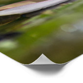 Persoonsbloem (lib) poster (Hoek)