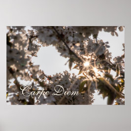 Persoonsbloesems van appelboom met carpe Diem Poster