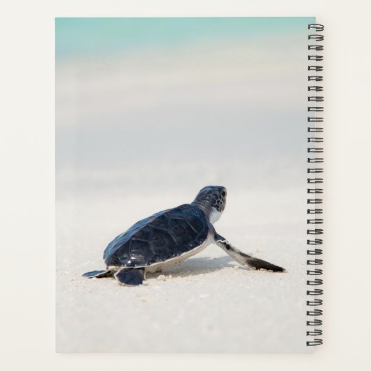 Persoonsnaam van tarwestratie | NATUUR Planner (Achterkant)