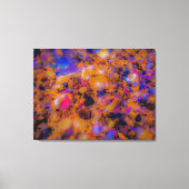 Persoonsonderdrukking, Rocks en Sea Shells Canvas Afdruk (Voorkant)